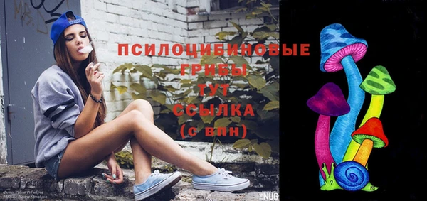 тгк Липки