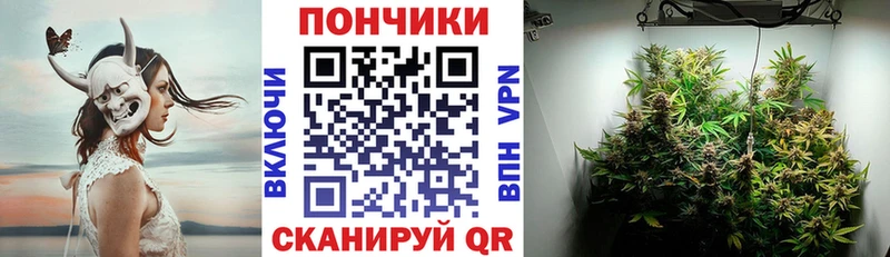 Конопля гибрид  Спас-Клепики 
